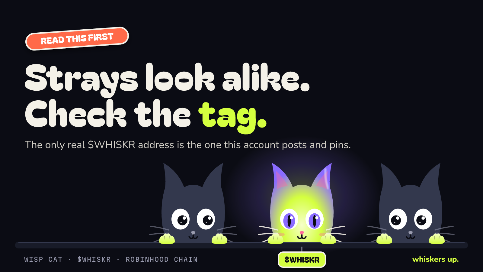 Card: Strays look alike. Check the tag. Two grey look-alike cats beside the real glowing cat wearing a $WHISKR tag.